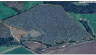 Imóvel 2552683 [''] - ['Assunguí'] [''] - ['Fernandes Pinheiro']/['PR'] - 1