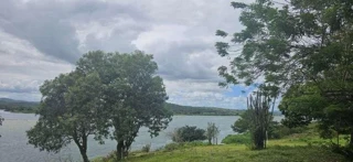 Imóvel 2633683 [''] - ['Faz. Intãs'] [''] - ['Gararu']/['SE'] - 1