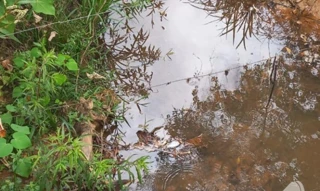 Imóvel 2503883 [''] - ['Capão Croá, Distrito de São José do Almeida, município de Jaboticatubas'] [''] - ['Jaboticatubas']/['MG'] - 1