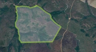 Imóvel 2488783 [''] - ['Gleba 1 - 4ª Etapa, LOTE 11, Loteamento Morro Limpo, RIO SONO - TO, CEP 77.635-000'] [''] - ['Rio Sono']/['TO'] - 1