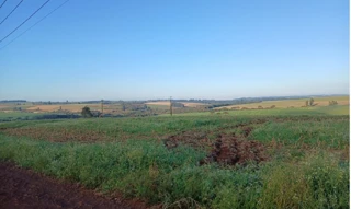 Imóvel 2856583 [''] - ['Fazenda São Domingos, situado na zona rural do Município de Cascavel/PR'] [''] - ['Cascavel']/['PR'] - 1