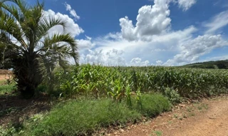 Imóvel 2662483 [''] - ['Interior, s/nº'] [''] - ['Erechim']/['RS'] - 1