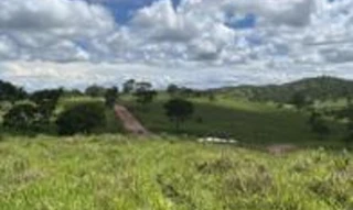 Imóvel 2818483 [''] - ['Rodovia GO-213, Campo Alegre de Goiás'] [''] - ['Campo Alegre De Goiás']/['GO'] - 1