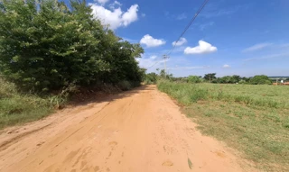 Imóvel 2509584 [''] - ['Fazenda São Carlos, Fazenda Sertão dos Inácios'] [''] - ['Mirassol']/['SP'] - 1
