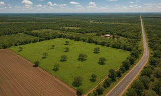 Imóvel 2543684 [''] - ['Distrito de Brejo do Amparo,'] [''] - ['Januária']/['MG'] - 1