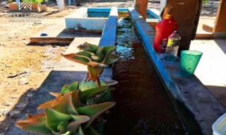 Imóvel 2722684 [''] - ['Avenida 136, n 761'] [''] - ['Ponte Alta Do Tocantins']/['TO'] - 1