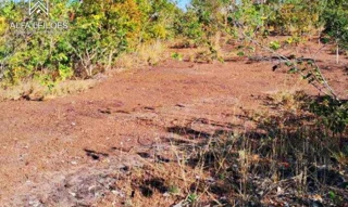 Imóvel 2722684 [''] - ['Avenida 136, n 761'] [''] - ['Ponte Alta Do Tocantins']/['TO'] - 1