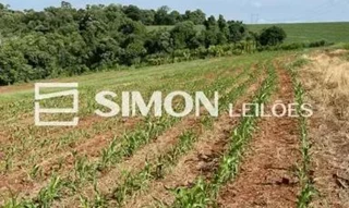 Imóvel 2742284 [''] - ['Nova Prata do Iguaçu/PR'] [''] - ['Nova Prata Do Iguaçu']/['PR'] - 1