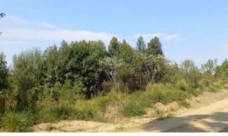 Imóvel 2500384 [''] - ['situado no lugar denominado Lustosa Irara, com denominacao especifica Fazenda Itaporanga parte II'] [''] - ['Ipiranga']/['PR'] - 1