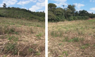 Imóvel 2891885 [''] - ['Imóvel Amola Faca ou Colônia Coronel Queiroz, zona rural do Município de Virmond'] [''] - ['Virmond']/['PR'] - 1
