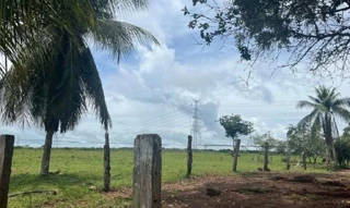 Imóvel 2387885 [''] - ['MARGENS DA PA 254, GLEBA CAMBURÃO "A", LOTE 62, FAZENDA BOM PASTOR, EM FRENTE A PONTE "DO RECREIO", PRÓXIMO A COMUNIDADE BOM PRINCÍPIO, nº S/N, ZONA RURAL, ALENQUER - PA, CEP 68.200-000'] [''] - ['Alenquer']/['PA'] - 1