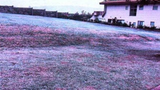 Imóvel 2506685 [''] - ['Fazenda Dona Carolina, Lt 13 da Qd W, Itatiba, SP'] [''] - ['Itatiba']/['SP'] - 1