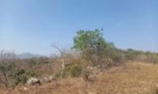 Imóvel 2484285 [''] - ['imóvel denominado "CABA VIDA III'] [''] - ['Niquelândia']/['GO'] - 1