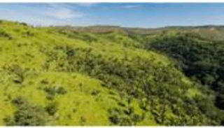 Imóvel 2856085 [''] - ['GO 430, KM 02, Zona Rural'] [''] - ['Planaltina']/['GO'] - 1