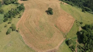 Imóvel 2681085 [''] - ["LOTE RURAL Nº 132 'A', situado na Secção Sete de Setembro"] [''] - ['Erval Grande']/['RS'] - 1