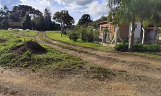 Imóvel 2593185 [''] - ['Localidade denominada Serrinha, Zona Rural de Canoinhas'] [''] - ['Canoinhas']/['SC'] - 1