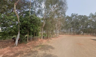 Imóvel 2829486 [''] - ['RODOVIA BR-487, KM 99,5, S/N, ZONA RURAL'] [''] - ['Itaquiraí']/['MS'] - 1