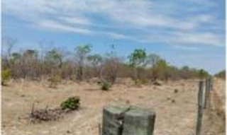 Imóvel 2797686 [''] - ['Grande Fazenda c/ 968 hectares, em terras de cultura de segunda classe, denominado de Fazenda Agaloado'] [''] - ['Flores De Goiás']/['GO'] - 1