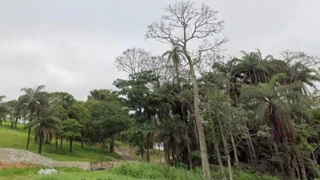 Imóvel 2562486 [''] - ['Cachoeira Da Prata , S/N , Gleba 10'] [''] - ['Cachoeira Da Prata']/['MG'] - 1