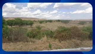 Imóvel 2617286 [''] - ['R. Joaquim Jose Modesto, SITUADA NO SÍTIO ALAGOINHA, ZONA RURAL'] [''] - ['Araripina']/['PE'] - 1