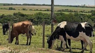 Imóvel 2487586 [''] - ['Jardim De Piranhas, SN'] [''] - ['Jardim De Piranhas']/['RN'] - 1