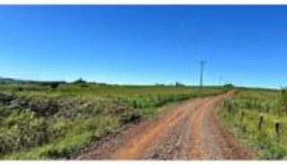 Imóvel 2771786 [''] - ['Estrada Bela Vista, Bairro Alto Alegre, km 21'] [''] - ['Campina Da Lagoa']/['PR'] - 1