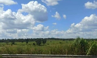 Imóvel 2512387 [''] - ['Rodovia Presidente Olegário A Br 040 Km 97, Gameleira , Lagoa Grande/MG'] [''] - ['Lagoa Grande']/['MG'] - 1