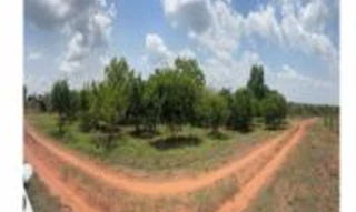 Imóvel 2761087 [''] - [''] [''] - ['Babaçulândia']/['TO'] - 1