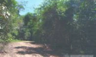 Imóvel 2484287 [''] - ['Fazenda Arapongas I (Parte da Fazenda Bela Vista), Linha Morocó'] [''] - ['Sorriso']/['MT'] - 1