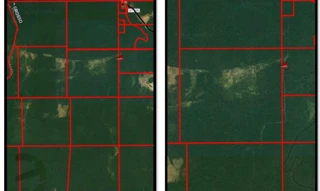 Imóvel 2689087 [''] - ['Lote 08 da Gleba São Francisco, Distrito de Três Fronteiras'] [''] - ['Colniza']/['MT'] - 1