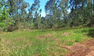 Imóvel 2494687 [''] - ['Lageadinho, Imbituva-PR'] [''] - ['Imbituva']/['PR'] - 1