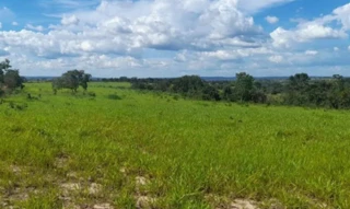 Imóvel 2234987 [''] - ['FAZENDA PRATA DOS NETOS- LUGAR PÉ DO MORRO'] [''] - ['Presidente Olegário']/['MG'] - 1