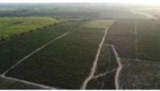Imóvel 2818487 [''] - ['Córrego do Cachimbau e Córrego do Teófilo, atual Sítio Alegria'] [''] - ['Jaguaré']/['ES'] - 1
