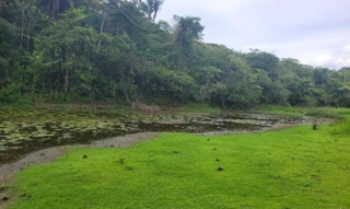 Imóvel 2707687 [''] - ["Sítio Pedra D'água, Zona Rural"] [''] - ['Pirpirituba']/['PB'] - 1