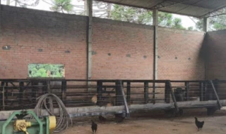 Imóvel 2546187 [''] - ['LINHA RIO BUGRE, 0, INTERIOR - ÁREA RURAL, INTERIOR'] [''] - ['Caçador']/['SC'] - 1