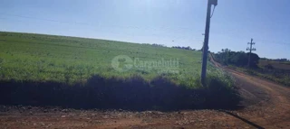 Imóvel 2354488 [''] - ['Fazenda Cerro Pelado (Esquina Fátima)'] [''] - ['Roque Gonzales']/['RS'] - 1