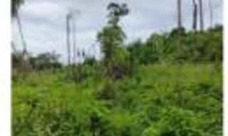Imóvel 2399188 [''] - ['lote de terras nº 04 da Gleba 17, Projeto de Assentamento Dirigido Marechal Dutra'] [''] - ['Ariquemes']/['RO'] - 1