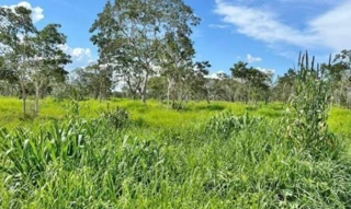 Imóvel 2840788 [''] - ['FAZENDA BOA VISTA'] [''] - ['Brasilândia De Minas']/['MG'] - 1
