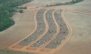 Imóvel 2737988 [''] - ['Rod. RO-391, Linha 85, Setor 07, Gleba Corumbiara'] [''] - ['Chupinguaia']/['RO'] - 1