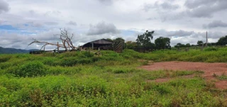 Imóvel 2771288 [''] - ['Fazenda Valentino, Rosário Oeste'] [''] - ['Rosário Oeste']/['MT'] - 1