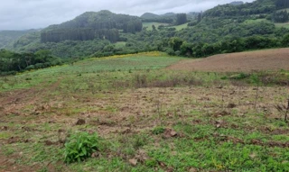 Imóvel 2527188 [''] - ['Linha Frei Clemente, Barros Cassal'] [''] - ['Barros Cassal']/['RS'] - 1