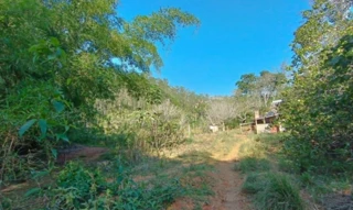 Imóvel 2535288 [''] - ['Fazenda Bom Destino, - Cataguases - MG'] [''] - ['Cataguases']/['MG'] - 1