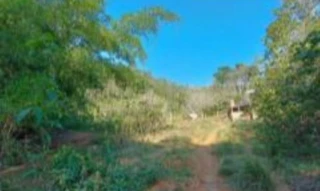 Imóvel 2535288 [''] - ['Fazenda Bom Destino, - Cataguases - MG'] [''] - ['Cataguases']/['MG'] - 1