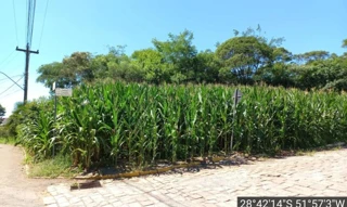 Imóvel 2676489 [''] - ['Rua Fenino Calgaro- Loteamento Calgaro'] ['Centro'] - ['Serafina Corrêa']/['RS'] - 1