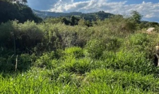 Imóvel 2736689 [''] - ['Loteamento Jardim América, s/n'] [''] - ['Romelândia']/['SC'] - 1