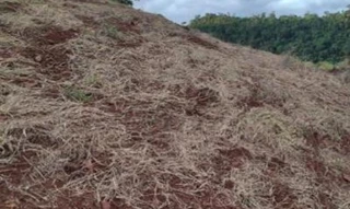 Imóvel 2489689 [''] - ['Linha Nova Seara'] [''] - ['Anchieta']/['SC'] - 1