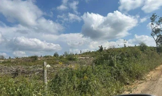 Imóvel 2737389 [''] - ['Presidente Getúlio/SC'] [''] - ['Presidente Getúlio']/['SC'] - 1