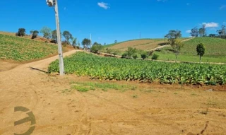 Imóvel 2704989 [''] - ['Rio Hipólito'] [''] - ['Orleans']/['SC'] - 1