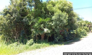 Imóvel 2676490 [''] - ['Rua Fenino Calgaro- Loteamento Calgaro'] ['Centro'] - ['Serafina Corrêa']/['RS'] - 1