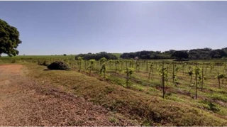 Imóvel 2749290 [''] - ["Estrada Municipal, s/nº - Sítio Água Rasa - Gleba Pau Dalho - São João do Pau D'alho / SP"] [''] - ["São João do Pau d'Alho"]/['SP'] - 1